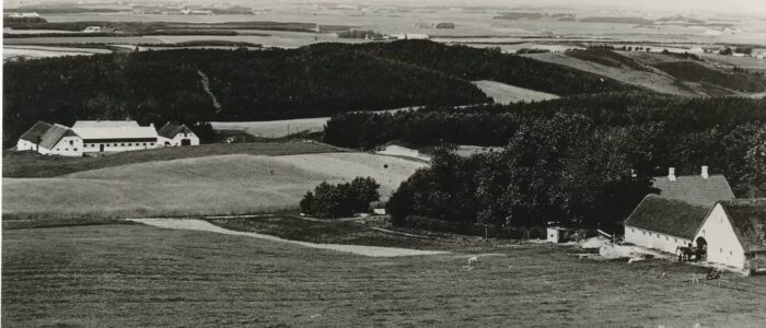 Tolne-udsigt-fra-tolne-bjerg-til-oestetgaard-pg-vestergaard Foto: Tolne, udsigt mod VNV fra Tolne Bjerg.- tv. Vestergaard th. Østergaard. Fra: Arkiv.dk.
