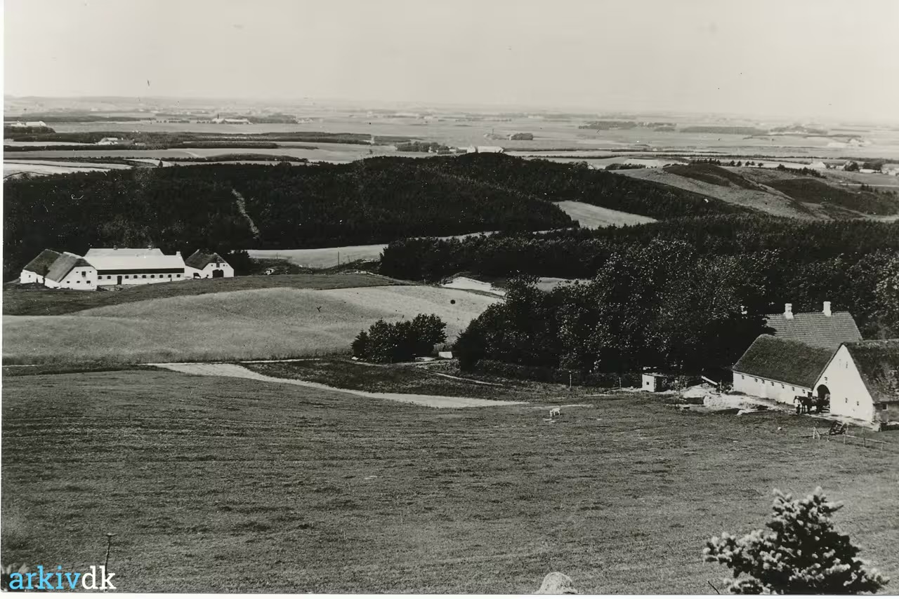 Foto: Tolne, udsigt mod VNV fra Tolne Bjerg.- tv. Vestergaard th. Østergaard. Fra: Arkiv.dk.
