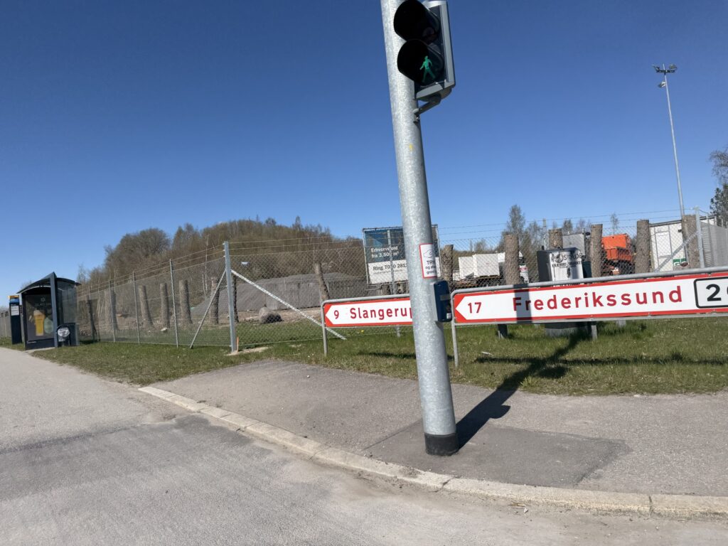 Skamskårede træer