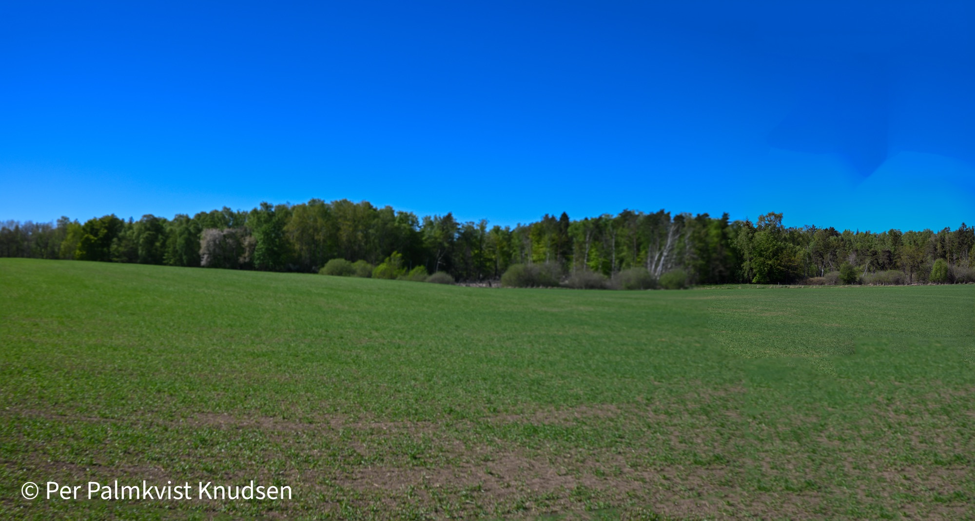 Ny Allerødgårds jorde